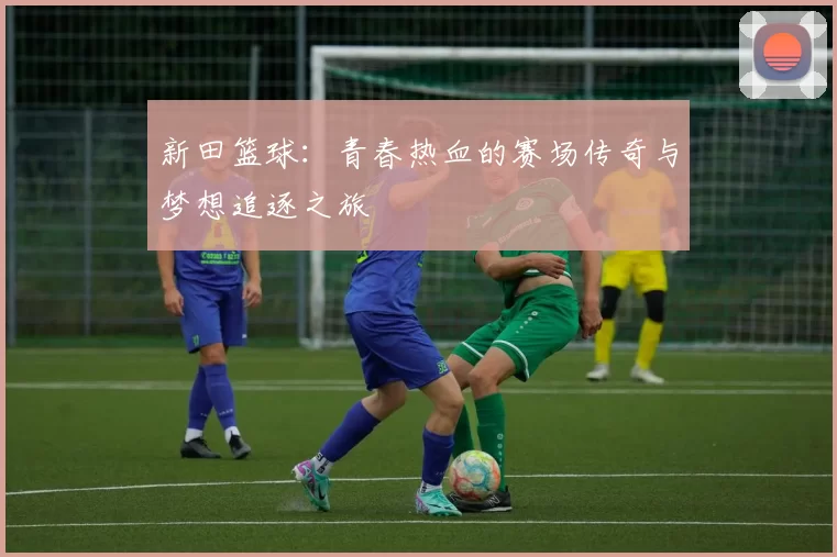 新田篮球：青春热血的赛场传奇与梦想追逐之旅