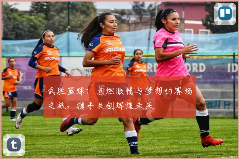 武胜篮球：点燃激情与梦想的赛场之旅，携手共创辉煌未来